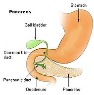 imagini bolile pancreasului
